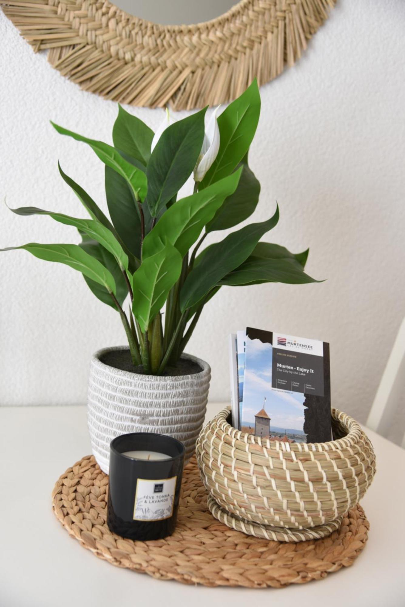 Charming With Terrace 5 Minutes From Murten Appartement *