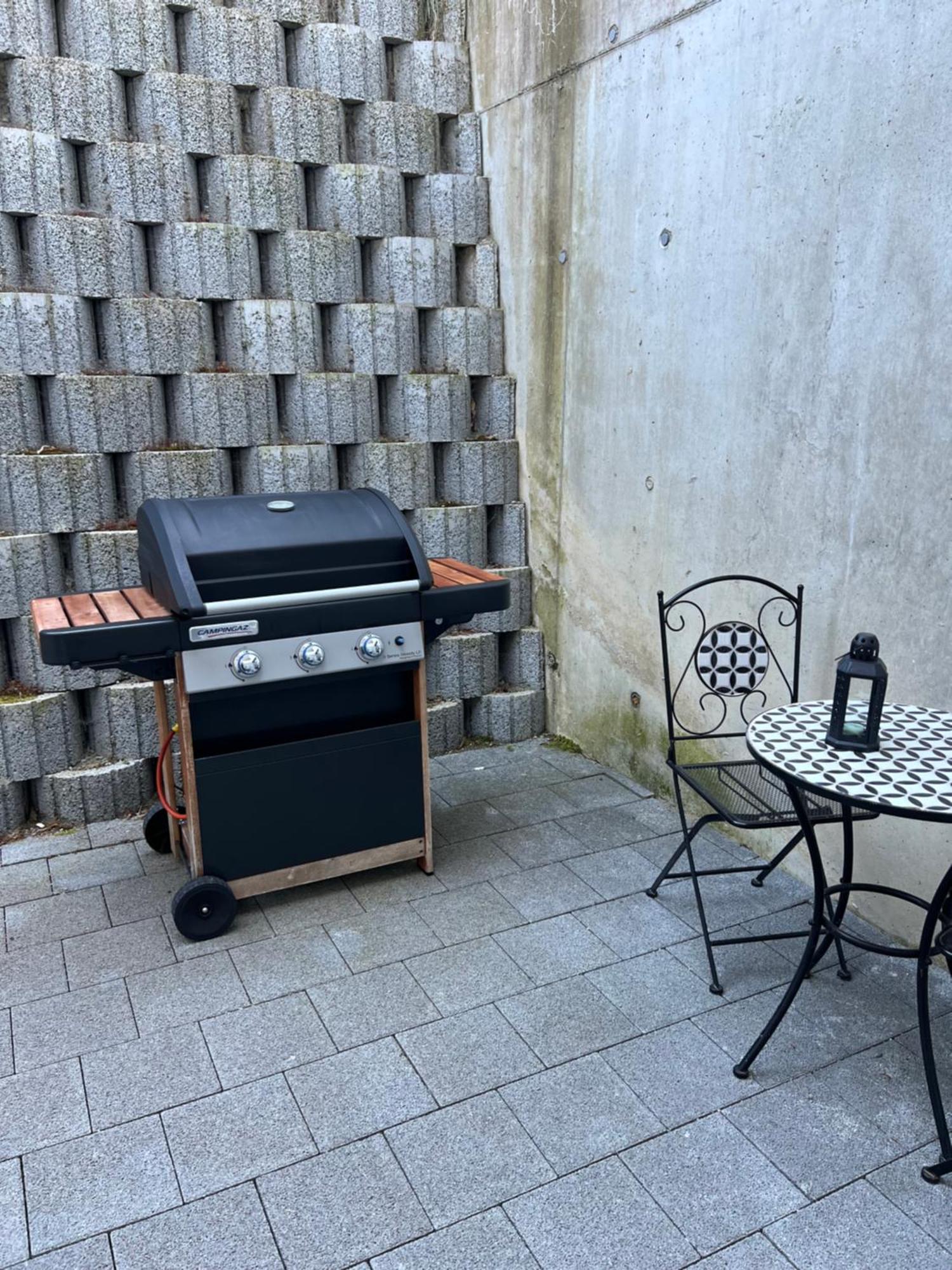Charming With Terrace 5 Minutes From Murten Appartement Münchenwiler